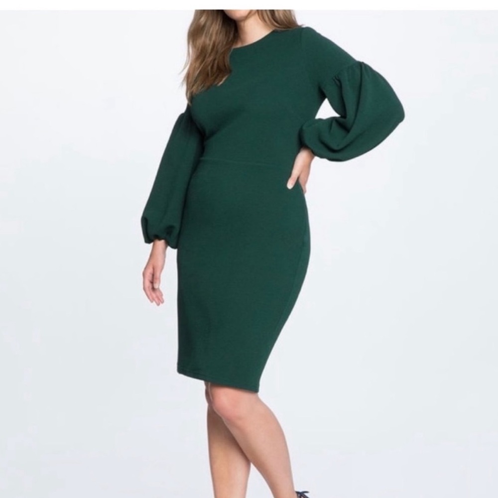 ELOQUII NWOT Green texturized scoop neck longsleeve zip back dress size 18